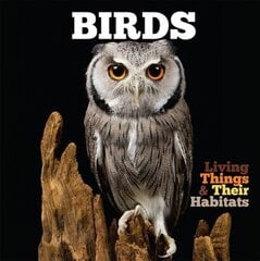 Birds None ed. цена и информация | Книги для подростков и молодежи | pigu.lt