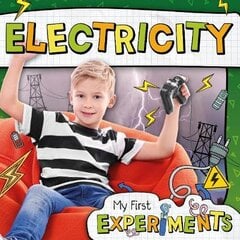 Electricity цена и информация | Книги для подростков  | pigu.lt