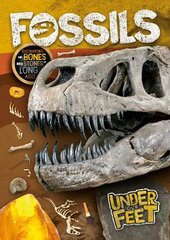 Fossils цена и информация | Книги для подростков  | pigu.lt