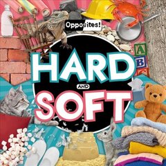 Hard and Soft цена и информация | Книги для подростков  | pigu.lt