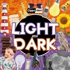 Light and Dark цена и информация | Книги для подростков  | pigu.lt