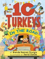 10 Turkeys In The Road цена и информация | Книги для подростков  | pigu.lt