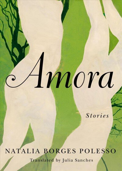 Amora: Stories kaina ir informacija | Romanai | pigu.lt