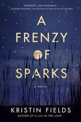 Frenzy of Sparks: A Novel kaina ir informacija | Fantastinės, mistinės knygos | pigu.lt