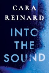 Into the Sound цена и информация | Фантастика, фэнтези | pigu.lt