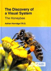 Discovery of a Visual System - The Honeybee kaina ir informacija | Ekonomikos knygos | pigu.lt