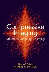 Compressive Imaging: Structure, Sampling, Learning цена и информация | Книги по экономике | pigu.lt