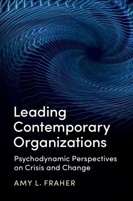 Leading Contemporary Organizations: Psychodynamic Perspectives on Crisis and Change kaina ir informacija | Ekonomikos knygos | pigu.lt