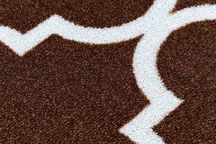 Rugsx ковровая дорожка Trellis 30351, коричневая, 67 см цена и информация | Ковры | pigu.lt