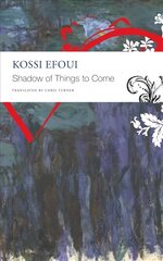 Shadow of Things to Come цена и информация | Fantastinės, mistinės knygos | pigu.lt