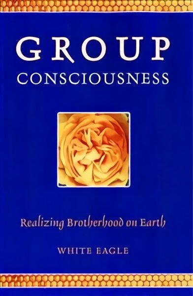 Group Consciousness: Realizing Brotherhood on Earth цена и информация | Saviugdos knygos | pigu.lt