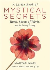 Little Book of Mystical Secrets: Rumi, Shams of Tabriz, and the Path of Ecstasy kaina ir informacija | Dvasinės knygos | pigu.lt