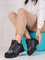 Женские трекинговые ботинки DK Softshell цена и информация | Спортивная обувь, кроссовки для женщин | pigu.lt
