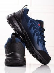 Удобная мужская спортивная обувь DK blue цена и информация | Кроссовки для мужчин | pigu.lt