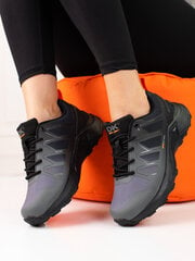 Женские серые треккинговые ботинки DK Softshell цена и информация | Спортивная обувь, кроссовки для женщин | pigu.lt