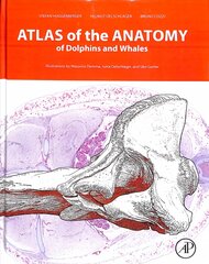 Atlas of the Anatomy of Dolphins and Whales цена и информация | Книги по экономике | pigu.lt