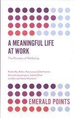 Meaningful Life at Work: The Paradox of Wellbeing цена и информация | Книги по экономике | pigu.lt