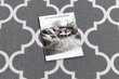 Rugsx kilimas Maroko dobilai 90x590 cm kaina ir informacija | Kilimai | pigu.lt