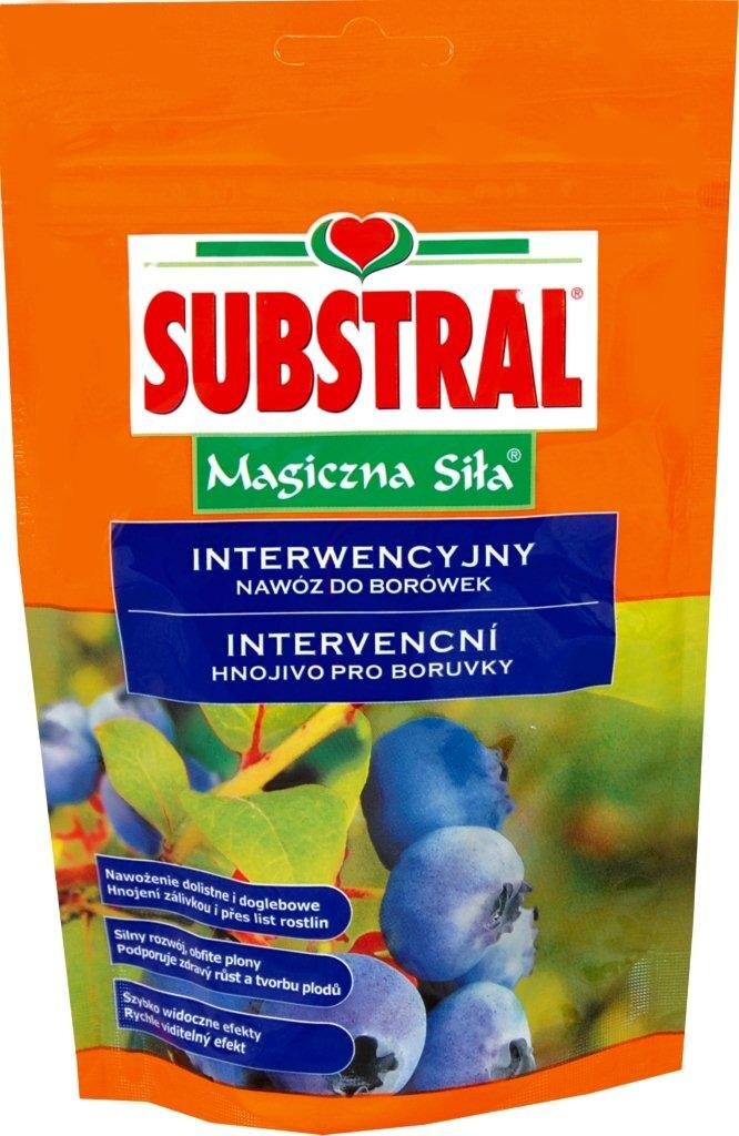 Šilauogių trąšos Substral*Mg*, 350 g kaina ir informacija | Birios trąšos | pigu.lt