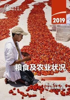 State of Food and Agriculture 2019 (Chinese Edition): Moving Forward on Food Loss and Waste Reduction kaina ir informacija | Ekonomikos knygos | pigu.lt