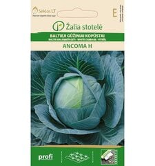 Капуста Ancoma H, 30 семян цена и информация | Семена овощей, ягод | pigu.lt