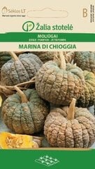 Тыква Marina di Chioggia, 1.5 г цена и информация | Семена овощей, ягод | pigu.lt