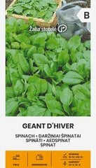 Шпинат Geant D'Hiver, 3 г цена и информация | Семена овощей, ягод | pigu.lt
