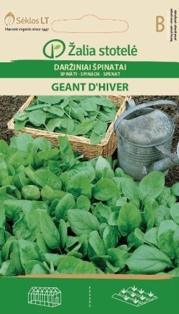 Daržiniai špinatai Geant D'Hiver kaina ir informacija | Daržovių, uogų sėklos | pigu.lt