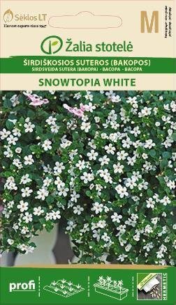 Širdiškosios suteros (Bakopos) Snowtopia White kaina ir informacija | Gėlių sėklos | pigu.lt