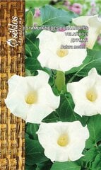 Дурман цена и информация | Семена цветов | pigu.lt