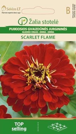 Puikiosios jurgininės gvaizdūnės Scarlet Flame kaina ir informacija | Gėlių sėklos | pigu.lt