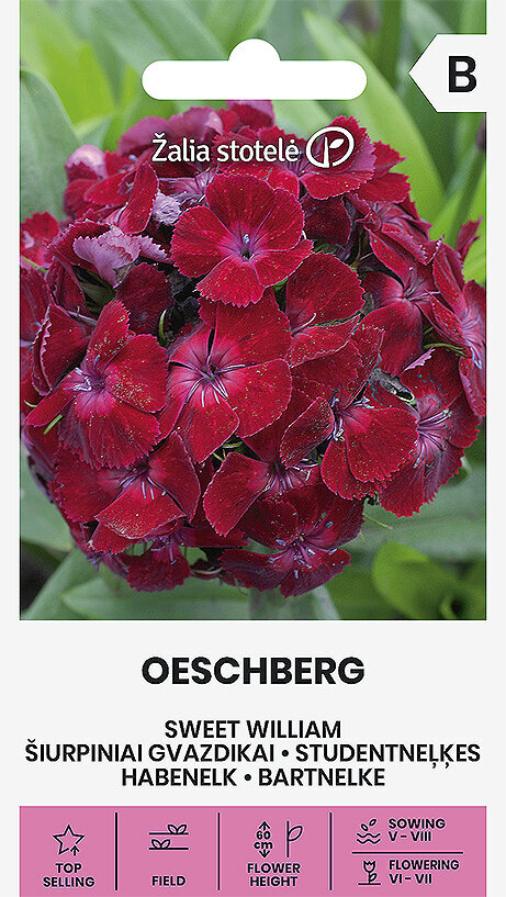 Šiurpiniai gvazdikai Oeschberg цена и информация | Gėlių sėklos | pigu.lt
