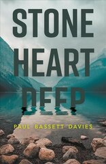 Stone Heart Deep kaina ir informacija | Fantastinės, mistinės knygos | pigu.lt