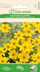 Bidens aurea цена и информация | Семена цветов | pigu.lt