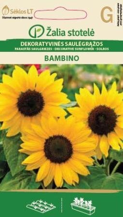 Dekoratyvinės saulėgrąžos Bambino цена и информация | Gėlių sėklos | pigu.lt