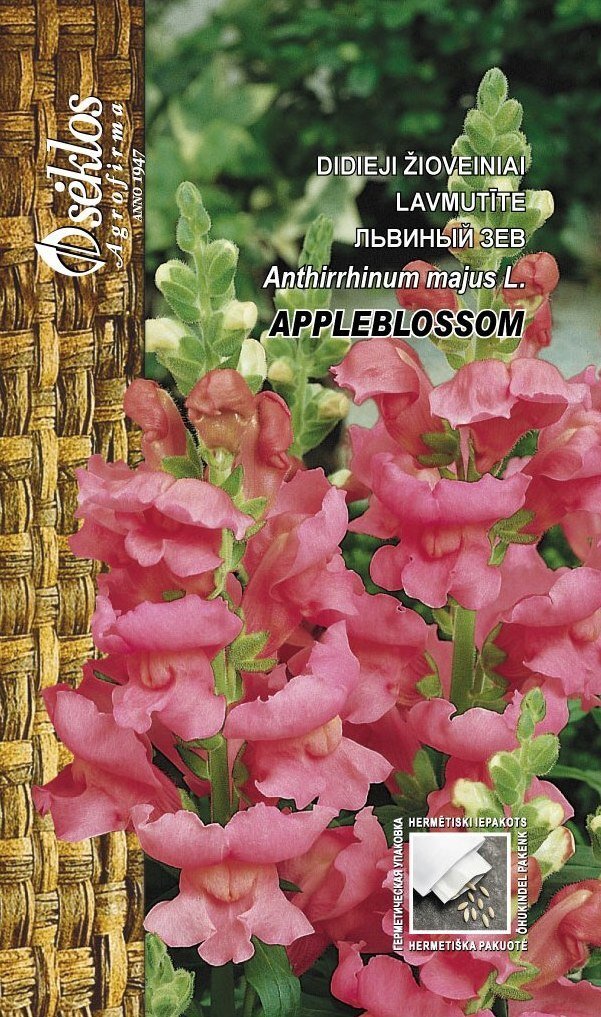 Didieji žioveiniai Appleblossom цена и информация | Gėlių sėklos | pigu.lt