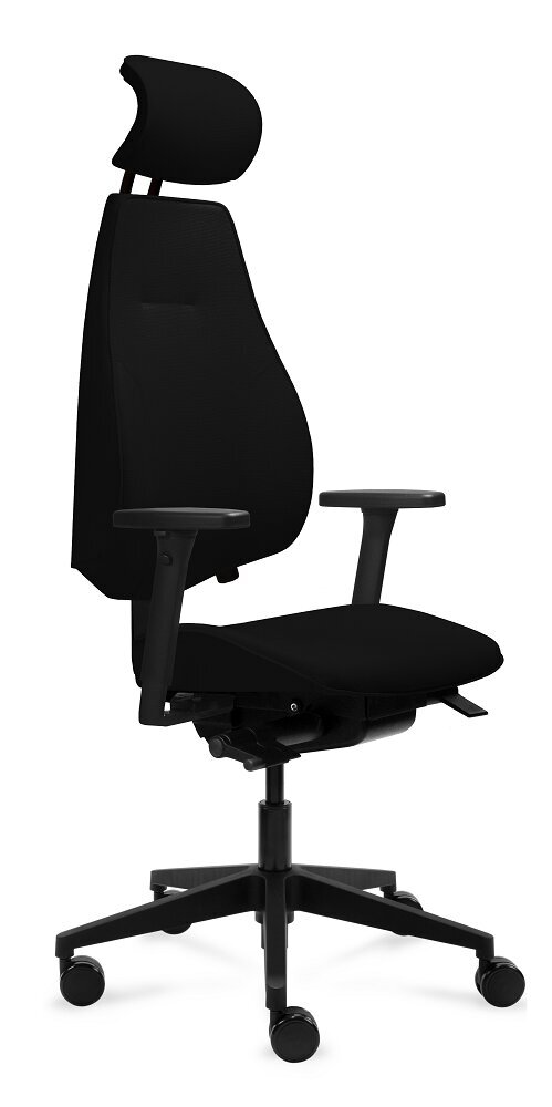 Biuro kėdė Tronhill Gabri Executive, juoda kaina ir informacija | Biuro kėdės | pigu.lt
