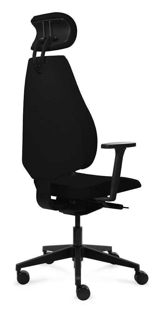 Biuro kėdė Tronhill Gabri Executive, juoda kaina ir informacija | Biuro kėdės | pigu.lt