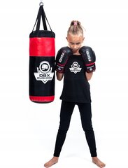 6 oz svorio bokso pirštinės, modelis skirtas vaikams iki 10 metų цена и информация | Боевые искусства | pigu.lt