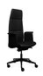 Biuro kėdė Tronhill Luna Executive, juoda цена и информация | Biuro kėdės | pigu.lt