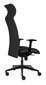 Biuro kėdė Tronhill Solium Executive kaina ir informacija | Biuro kėdės | pigu.lt