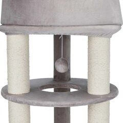 Draskyklė su nameliu Trixie Lavinia Scratching Post, 138 cm kaina ir informacija | Draskyklės | pigu.lt