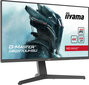 Iiyama G-MASTER GB2870UHSU-B1 цена и информация | Monitoriai | pigu.lt