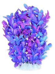 Folijos augalas 20cm 2f25 Happet kaina ir informacija | Akvariumo augalai, dekoracijos | pigu.lt
