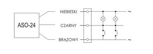 Автоматический контроллер лестницы ASO-24 10A 24V AC цена и информация | Выключатели, розетки | pigu.lt