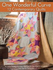 One Wonderful Curve: 12 Contemporary Quilts цена и информация | Книги о питании и здоровом образе жизни | pigu.lt