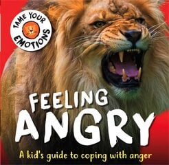 Tame Your Emotions: Feeling Angry цена и информация | Книги для подростков  | pigu.lt
