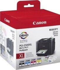 Картридж с оригинальными чернилами (4 штуки) Canon 2500XL MAXIFY iB4050 XL, разноцветный цена и информация | Картриджи для струйных принтеров | pigu.lt