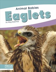 Animal Babies: Eaglets цена и информация | Книги для подростков  | pigu.lt