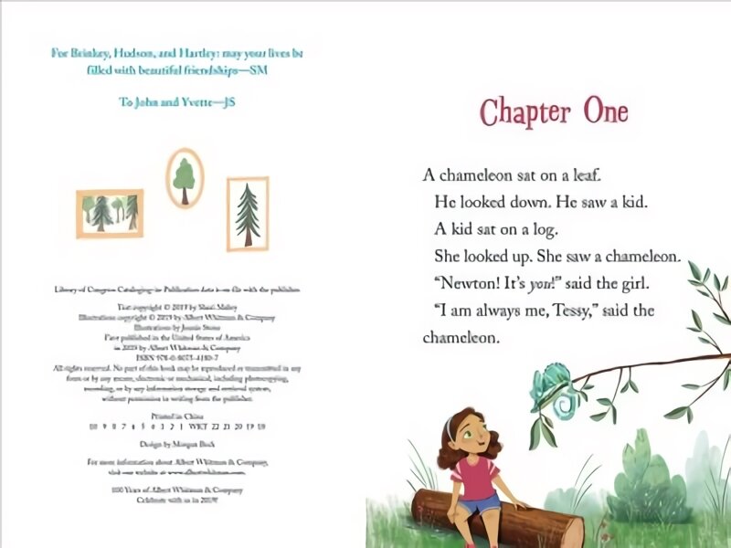 Kid and the Chameleon Sleepover (The Kid and the Chameleon: Time to Read, Level 3): (The Kid and the Chameleon: Time to Read, Level 3) kaina ir informacija | Knygos paaugliams ir jaunimui | pigu.lt